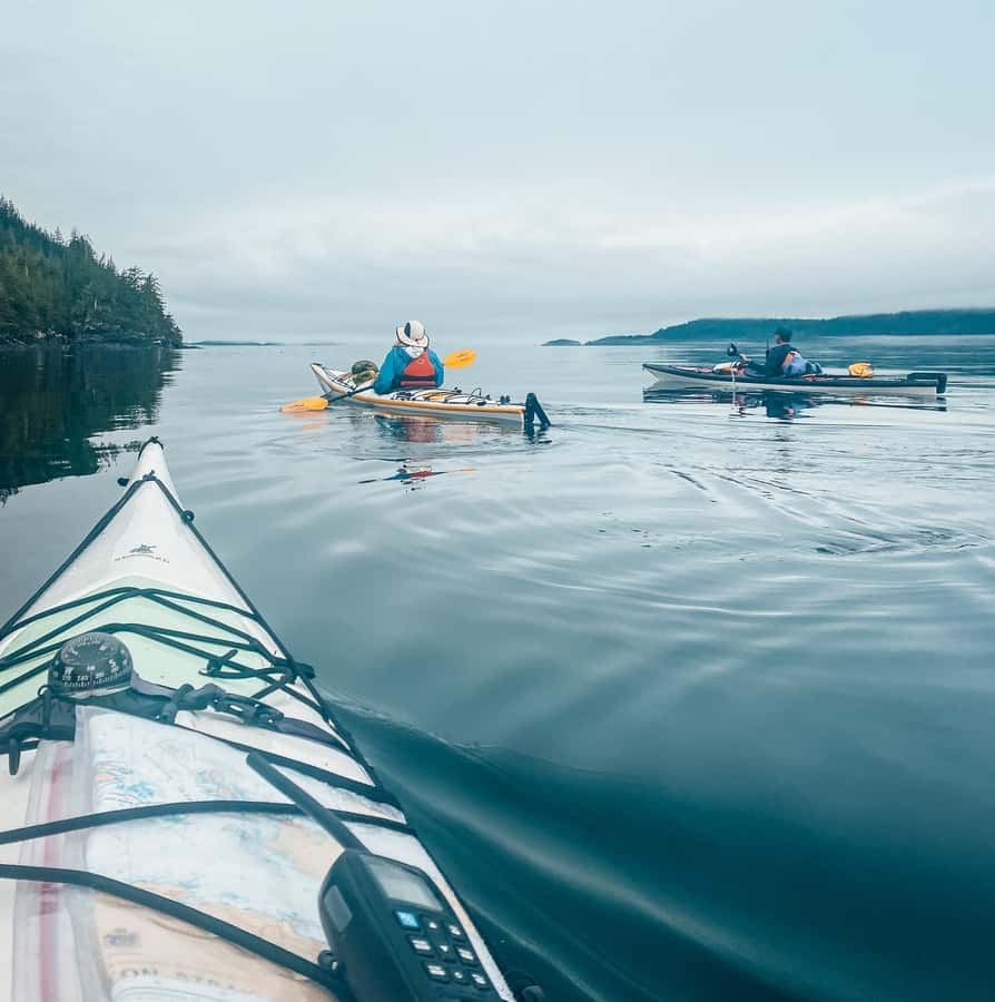 Telegraph Cove: Full-Day Trip Kayaking Tour - The Four-Hour Paddling Block: Build Rhythm, Not Panic