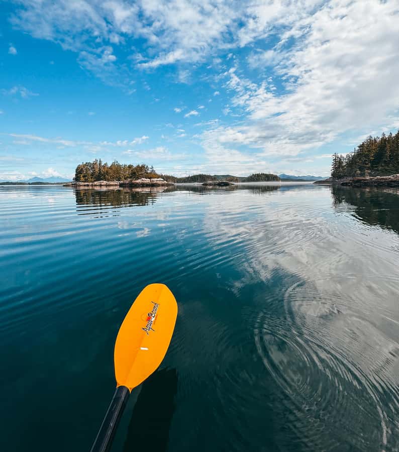 Telegraph Cove: Full-Day Trip Kayaking Tour - Price and Value: What $160 Covers, and What You’re Still Responsible For