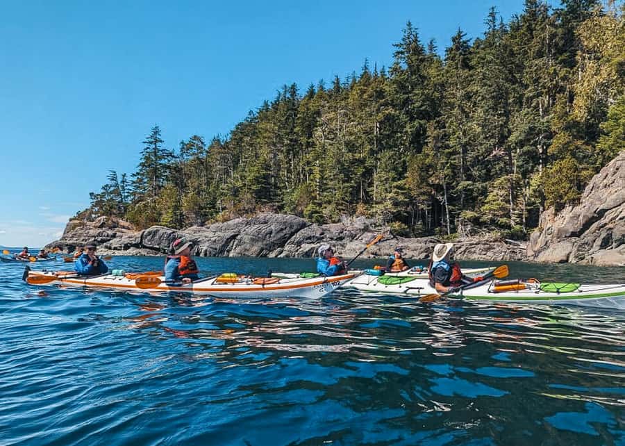 Telegraph Cove: Full-Day Trip Kayaking Tour - The Telegraph Cove Launch: Boardwalk Meeting Point and First Orientation