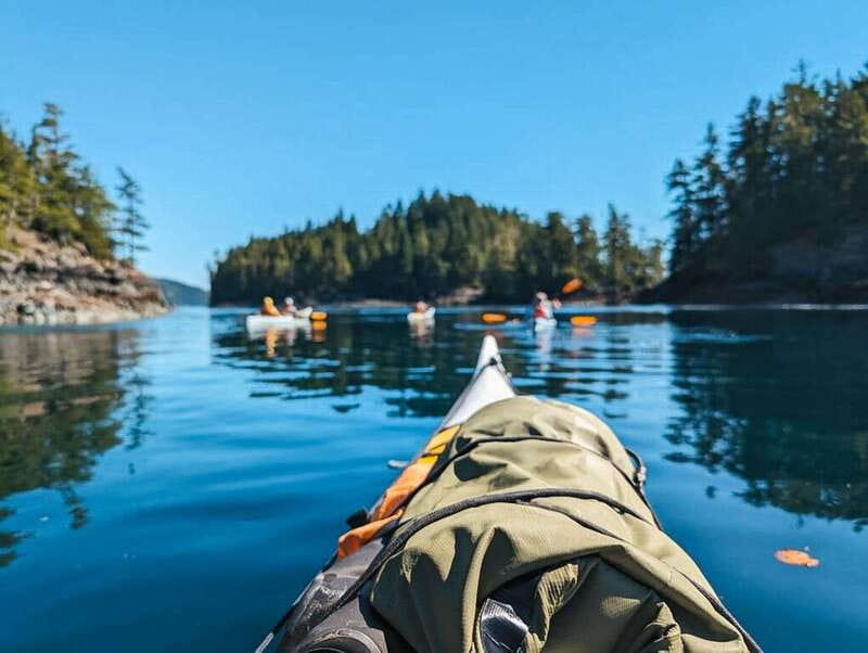 Telegraph Cove: Half-Day Kayaking Tour - Why Telegraph Cove Kayaking Feels Different From a Usual Tour