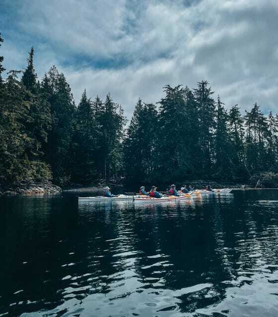 Telegraph Cove: Half-Day Kayaking Tour - What You Actually Get Included, and What You Must Bring