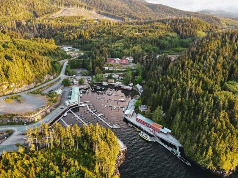 Telegraph Cove: Half-Day Kayaking Tour - Price and Value: Is $129 a Good Deal for 4 Hours?
