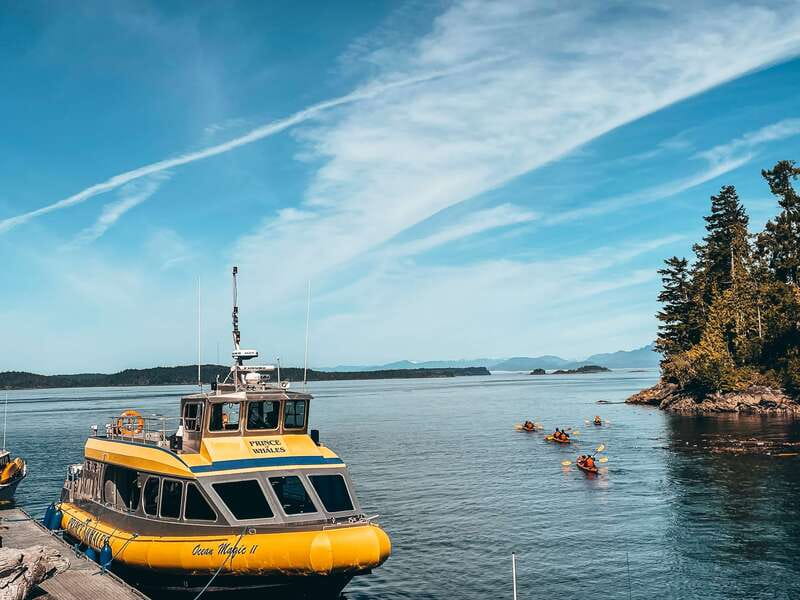 Telegraph Cove: Whale Watching Adventure with Free Photos - Photo package: great value, but keep your own camera ready