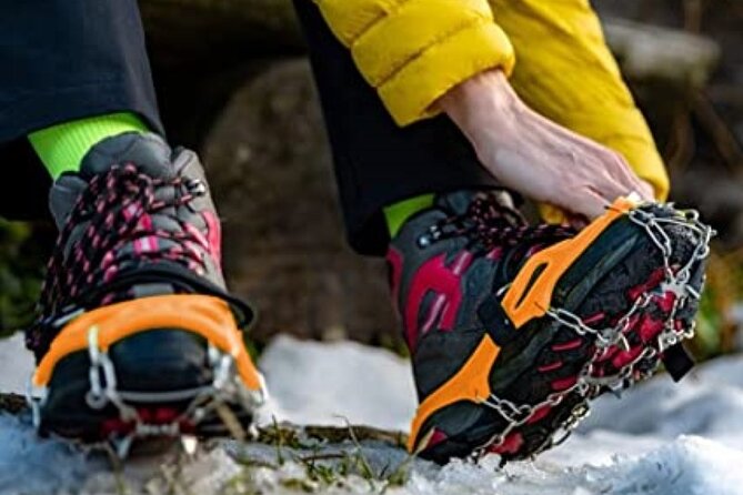 The BANFF NATURE Walk - 2hr Adventure - A 2-hour Banff nature walk that fits real life