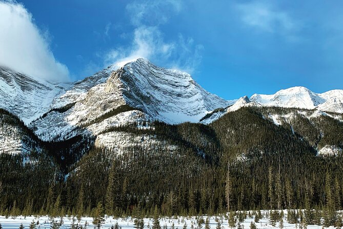 The BANFF NATURE Walk - 2hr Adventure - Timing and the rest of your Banff day