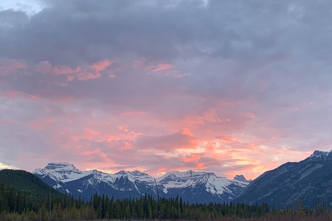 The Banff Stargazing Tour - 2hr Walking Tour - Milky Way moments and night-photography tips that save your night