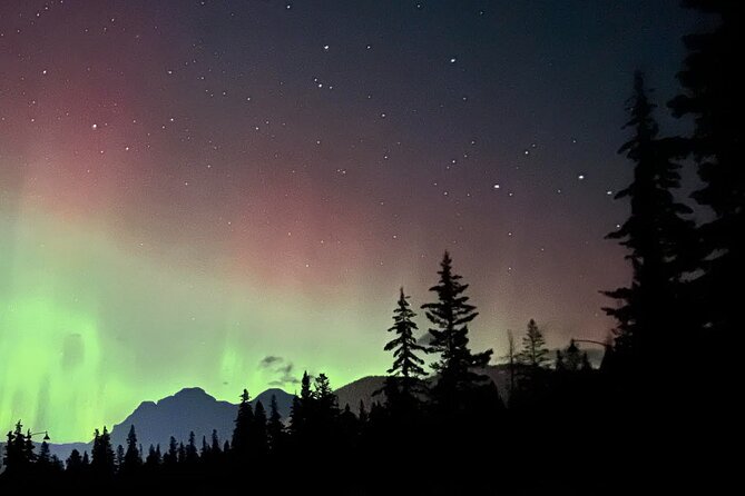 The Banff Stargazing Tour - 2hr Walking Tour - Price and value: what $68.34 buys you in the real world