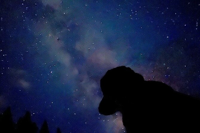 The Banff Stargazing Tour - 2hr Walking Tour - Who should book, and who should skip