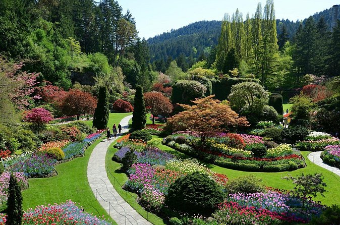 The Butchart Gardens Express Shuttle from Downtown Victoria - Who this Butchart Gardens express shuttle fits best
