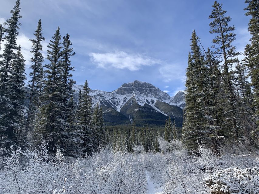 The Canmore HISTORY TOUR - Cowboys and Coal Miners 2H Walk - The Scenic Stops: Mountain and River Views That Feel Personal, Not Generic