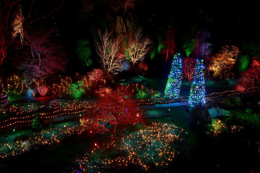 The Magic of Christmas at the Butchart Gardens - Butchart Gardens at Christmas: what you are really seeing