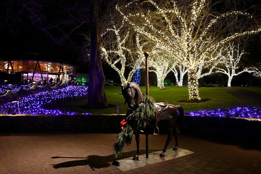 The Magic of Christmas at the Butchart Gardens - Getting into the grounds: how the experience unfolds