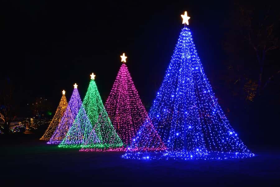 The Magic of Christmas at the Butchart Gardens - From the Empress Hotel to the lights: your narrated coach ride