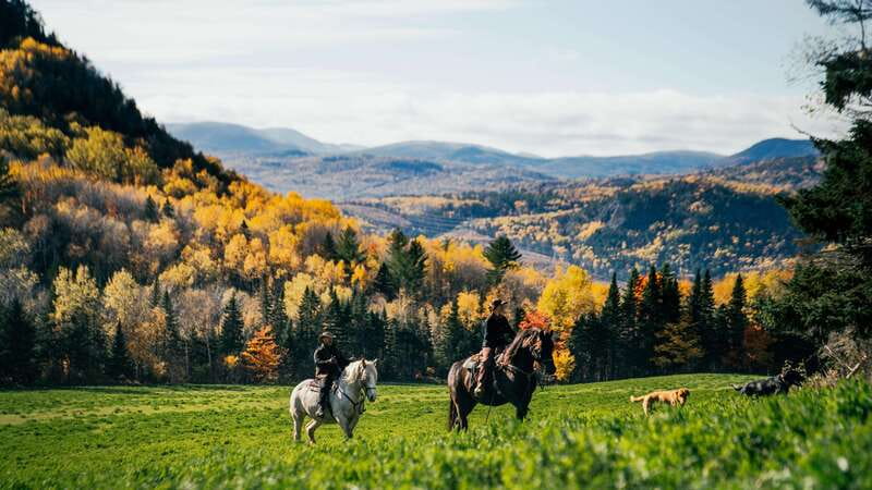 The Montagnarde: Guided horseback ride on mountain trails. - Key Highlights You Should Care About