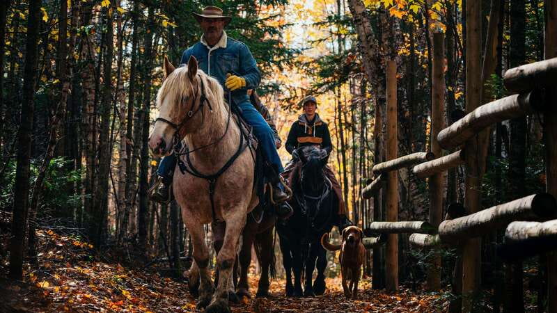The Montagnarde: Guided horseback ride on mountain trails. - Guides, Safety, and the Kind of Riding Experience You Get