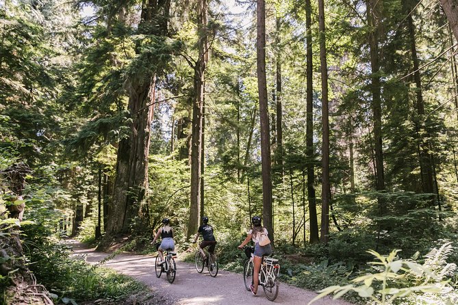 The Stanley Park Bicycle Tour by Cycle City Tours - The 3-hour flow: how the route keeps you seeing more