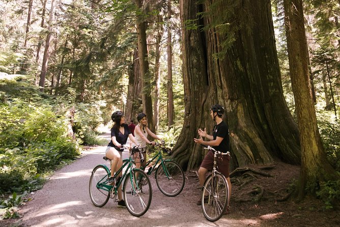 The Stanley Park Bicycle Tour by Cycle City Tours - Third Beach at Ferguson Point: a quiet finale