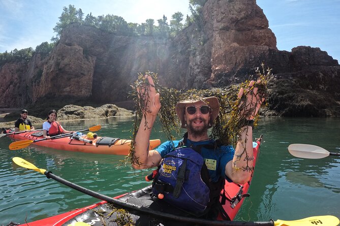 Three Sisters Sea Kayaking Day Tour - Low tide option: walking the ocean floor and staying flexible
