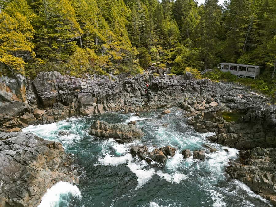 Tofino: Hot Springs Cove Tour with Wildlife Cruise - Cruising Clayoquot Sound from Tofino on a 12-seat cabin cruiser