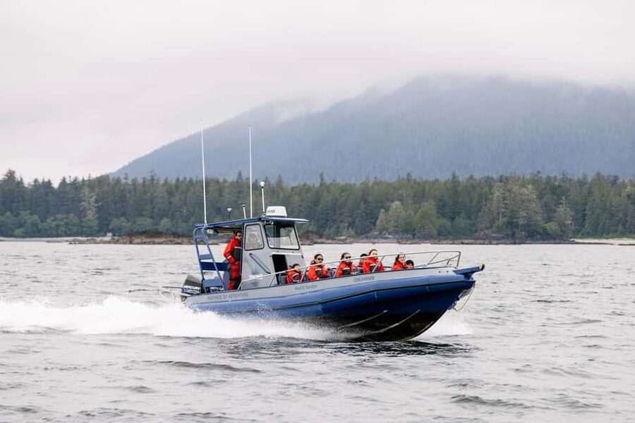 Tofino: Whale Watching Tour with Nature Guide - Whiteraven Zodiac vs Blackfish covered boat, picking your comfort level