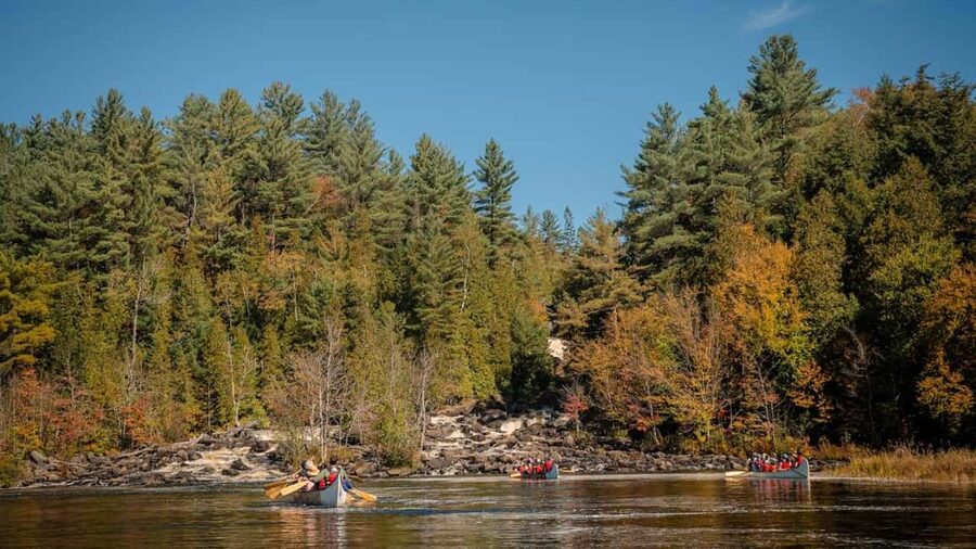 Toronto: Algonquin Park and Ragged Falls Day Trip - Key things to know before you go