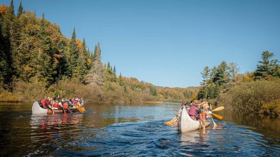 Toronto: Algonquin Park and Ragged Falls Day Trip - Why this Toronto to Algonquin Park day trip feels worth it