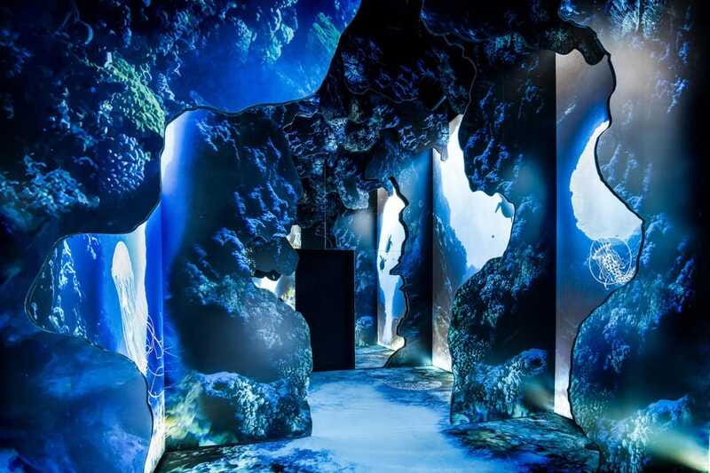 Toronto: Arcadia Earth, Immersive Experience Anytime Ticket - The tech stack: AR, VR, projection mapping, and interactive moments
