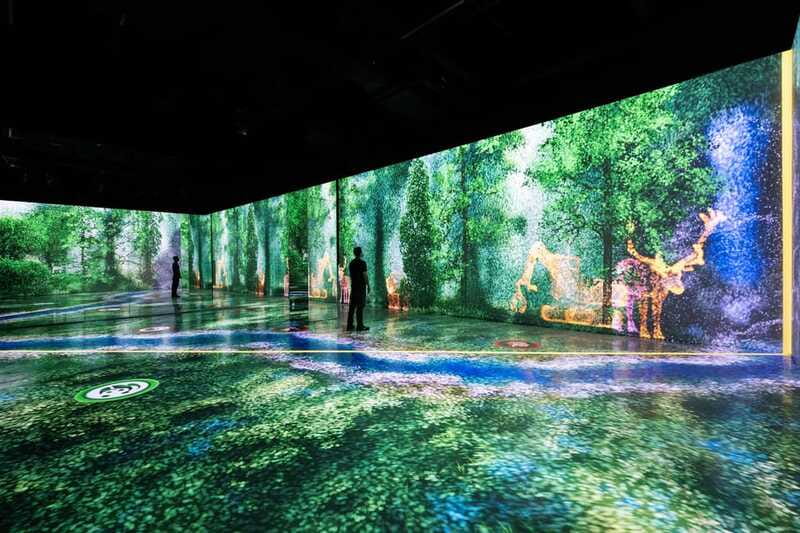 Toronto: Arcadia Earth, Immersive Experience Anytime Ticket - Small group size: limited to 10 participants, and what that changes