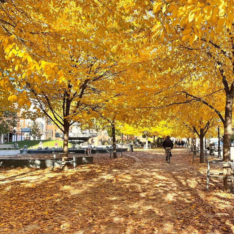Toronto: City Walking Tour - Quick Hits Before You Go