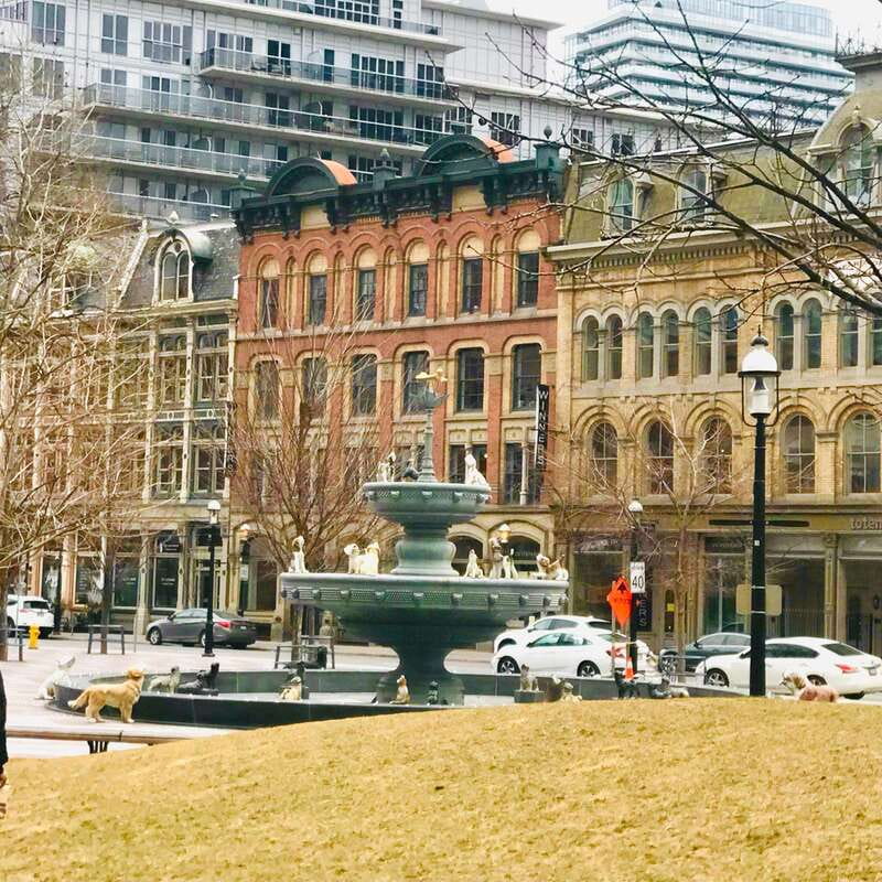 Toronto: City Walking Tour - Should You Book This Toronto City Walking Tour?