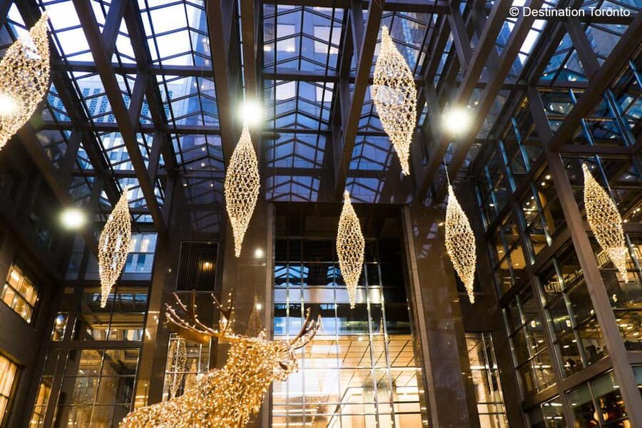 Toronto: Festive Lights Bus Tour - Photo Tips From A Moving Bus (Without Losing Your Shot)