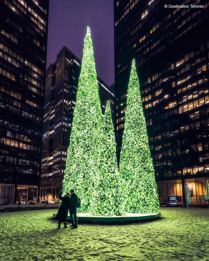 Toronto: Guided City Sightseeing Festive Lights Bus Tour - Yorkville Holiday Windows: Upscale Sparkle for People-Watching