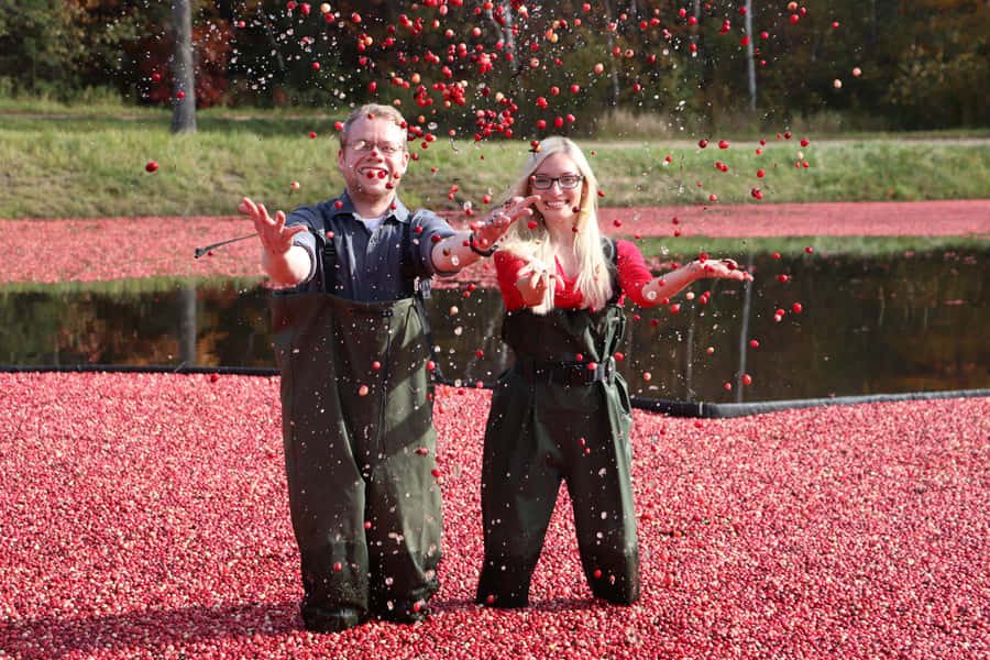 Toronto: Muskoka Cranberry Farm and Hardy Lake Hike - Key highlights worth marking on your map