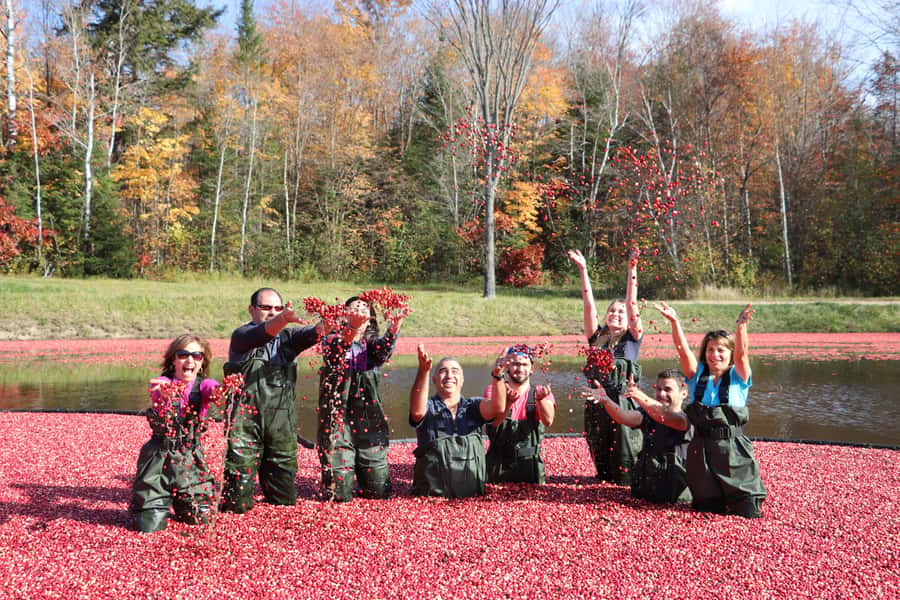 Toronto: Muskoka Cranberry Farm and Hardy Lake Hike - Price and value: is $94 fair for what you get?