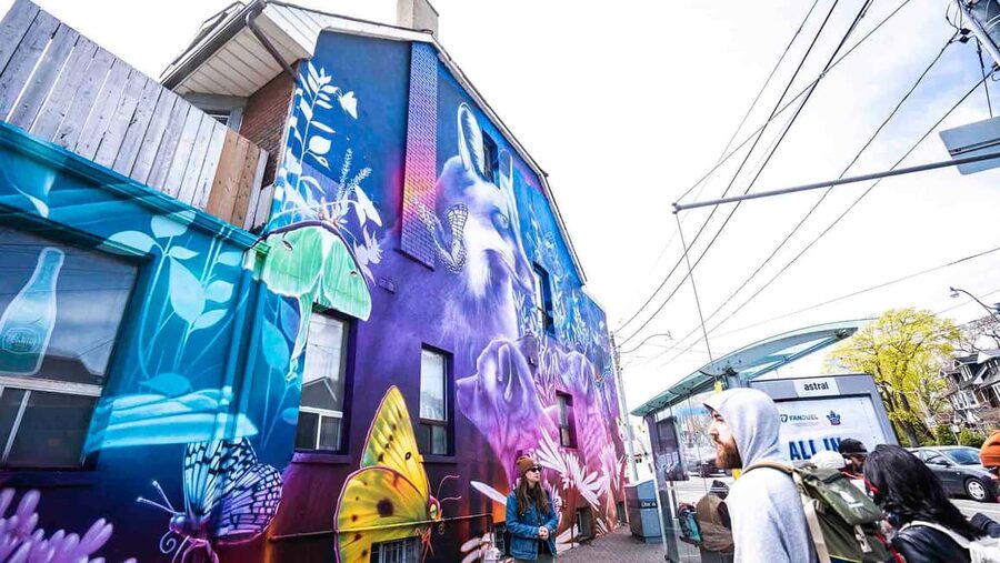 Toronto: Must Do NonTouristy Street Art Tour by local Artist - Price and Value: $8 for Two Hours of Street-Level Insight