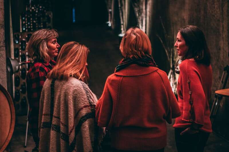 Toronto: Niagara Wineries Tasting Tour & Optional Lunch - Who This Tour Fits Best, and Who Might Want a Different Plan