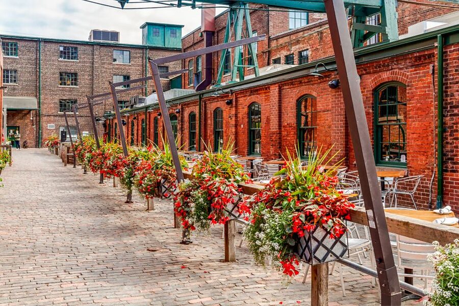 Toronto: Premium Night Driving Tour with Tower Entry - Downtown Toronto by Car: A Narrated Route You Can Reuse Later