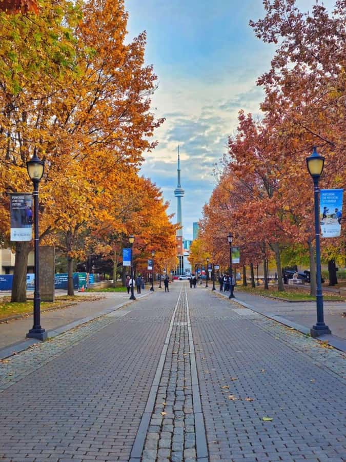 Toronto – Private 2-Hour Photoshoot with a Pro Photographer - Key things I’d plan around