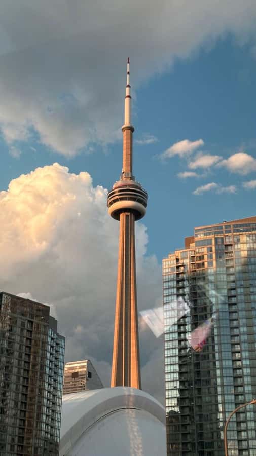 Toronto – Private 2-Hour Photoshoot with a Pro Photographer - Iconic Toronto stops you might photograph, CN Tower to Graffiti Alley