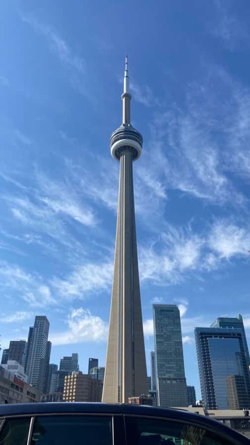 Toronto – Private 2-Hour Photoshoot with a Pro Photographer - Small rules that can affect your plan (and your photos)