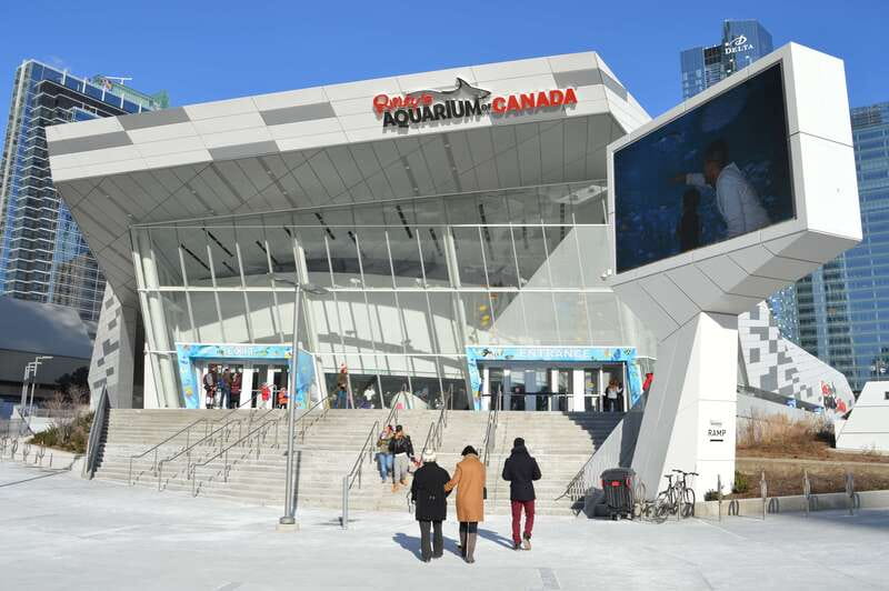 Toronto: Ripley's Aquarium of Canada Entry Ticket - Key highlights that make this ticket worth your time