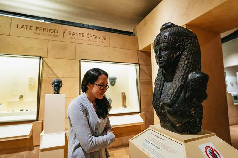Toronto: Royal Ontario Museum Admission Ticket - Key highlights you should plan around