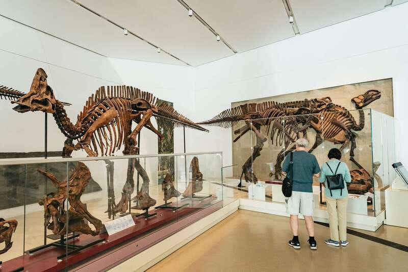 Toronto: Royal Ontario Museum Admission Ticket - Royal Ontario Museum in one ticket: what you’re really buying