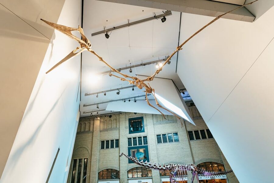 Toronto: Royal Ontario Museum Admission Ticket - Built for independent wandering: galleries, kiosks, and how to follow the thread