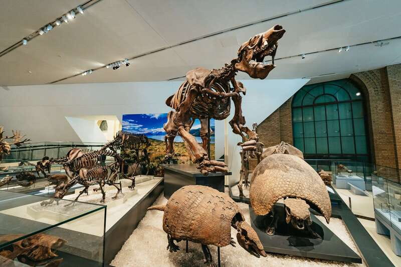 Toronto: Royal Ontario Museum Admission Ticket - Special exhibits: how to decide what’s worth the extra ticket
