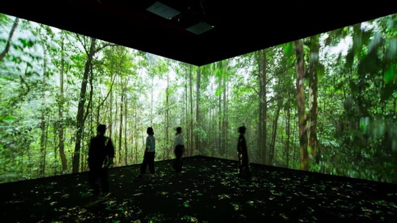 Toronto: Royal Ontario Museum Special Exhibits Voucher - Key highlights to plan around