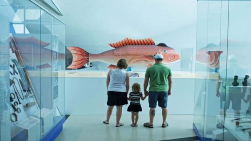 Toronto: Royal Ontario Museum Special Exhibits Voucher - The Royal Ontario Museum voucher, and why it works for a one-day visit