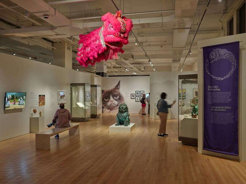 Toronto: Royal Ontario Museum Special Exhibits Voucher - Using bilingual kiosks, WiFi, and the map like a pro
