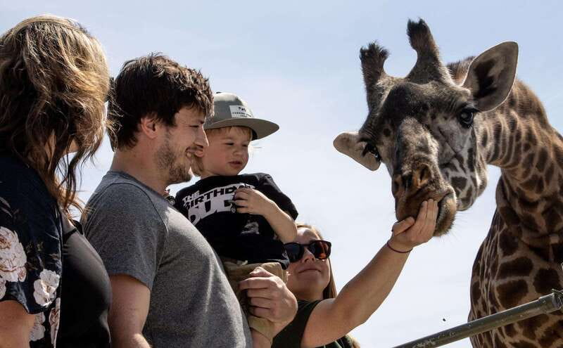 Toronto: Toronto Zoo Entry Ticket - Key things to know before you go