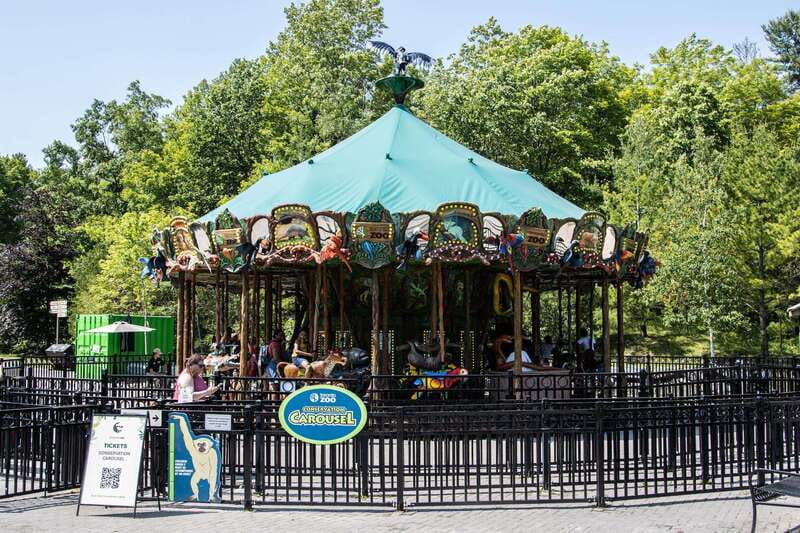 Toronto: Toronto Zoo Entry Ticket - Kids Zoo, Splash Island, and Waterside Theatre for family pacing